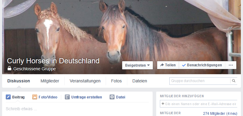 Facebook Curly Horse Community